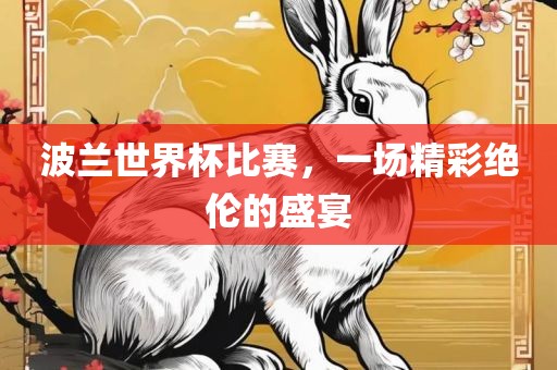 波兰世界杯比赛，一场精彩绝伦的盛宴