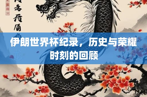 伊朗世界杯纪录，历史与荣耀时刻的回顾