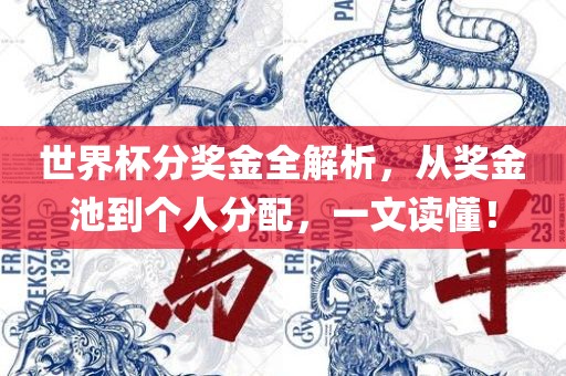 世界杯分奖金全解析，从奖金池到个人分配，一文读懂！