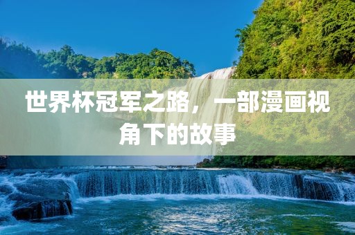 世界杯冠军之路，一部漫画视角下的故事