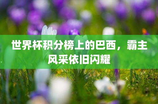 世界杯积分榜上的巴西，霸主风采依旧闪耀