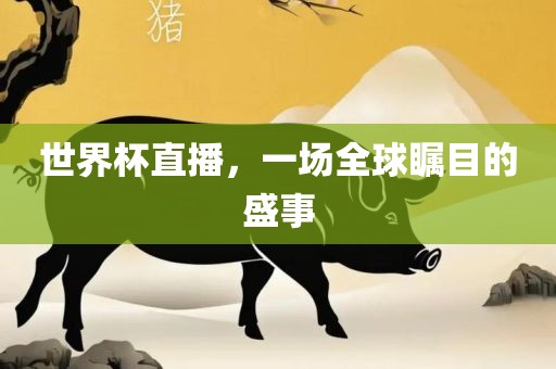 世界杯直播，一场全球瞩目的盛事