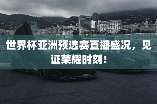 世界杯亚洲预选赛直播盛况，见证荣耀时刻！