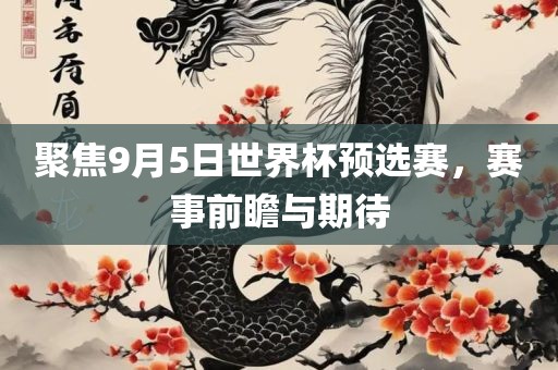 聚焦9月5日世界杯预选赛，赛事前瞻与期待眉山市正发家政服务有限公司