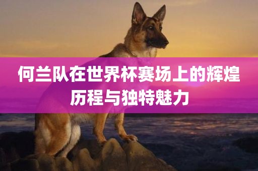 何兰队在世界杯赛场上的辉煌历程与独特魅力眉山市正发家政服务有限公司