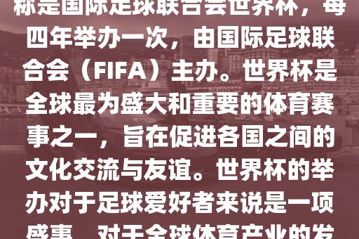 世界杯是一项国际足球赛事，全称是国际足球联合会世界杯，每四年举办一次，由国际足球联合会（FIFA）主办。世界杯是全球最为盛大和重要的体育赛事之一，旨在促进各国之间的文化交流与友谊。世界杯的举办对于足球爱好者来说是一项盛事，对于全球体育产业的发展也具有重要影响。