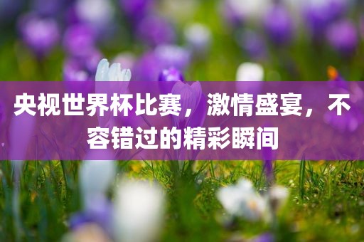 央视世界杯比赛，激情盛宴，不容错过的精彩瞬间