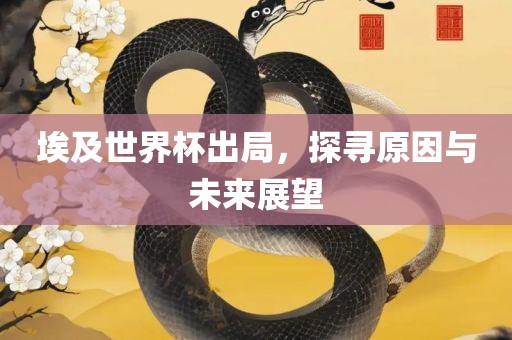 埃及世界杯出局，探寻原因与未来展望