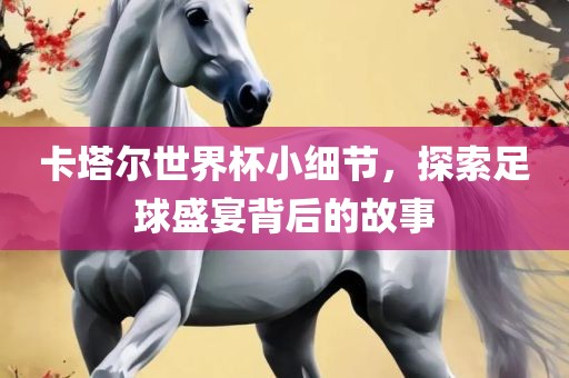 卡塔尔世界杯小细节，探索足球盛宴背后的故事眉山市正发家政服务有限公司
