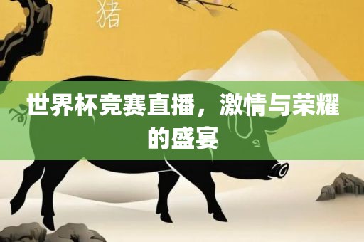 世界杯竞赛直播，激情与荣耀的盛宴