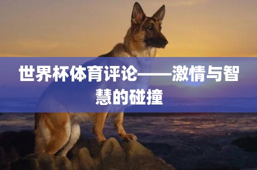 世界杯体育评论——激情与智慧的碰撞