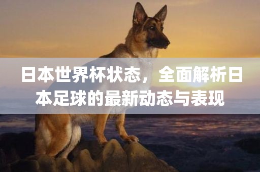 日本世界杯状态，全面解析日本足球的最新动态与表现