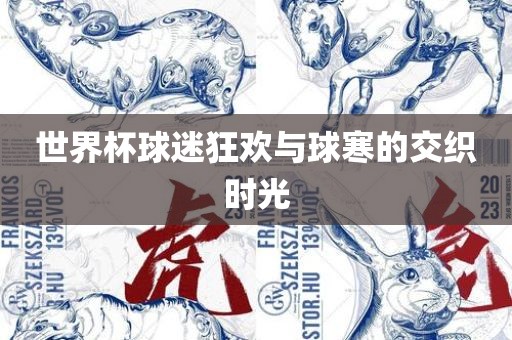 世界杯球迷狂欢与球寒的交织时光