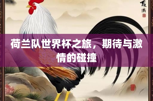 荷兰队世界杯之旅，期待与激情的碰撞眉山市正发家政服务有限公司
