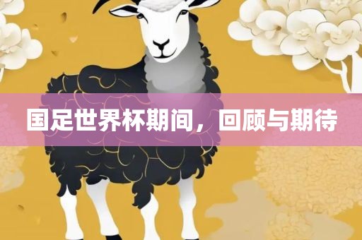 国足世界杯期间，回顾与期待