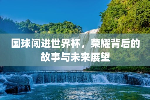 国球闯进世界杯，荣耀背后的故事与未来展望