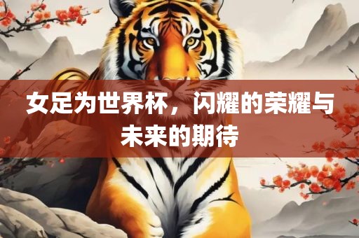 女足为世界杯，闪耀的荣耀与未来的期待