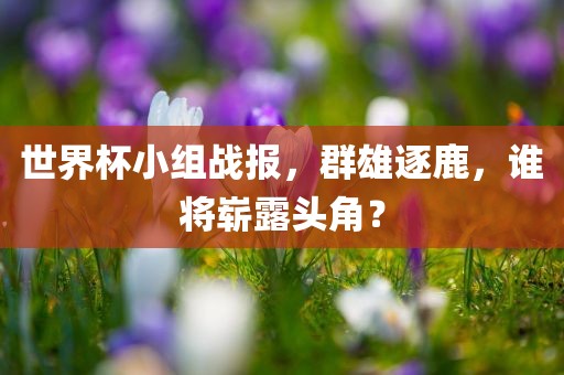 世界杯小组战报，群雄逐鹿，谁将崭露头角？