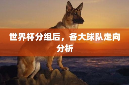 世界杯眉山市正发家政服务有限公司分组后，各大球队走向分析