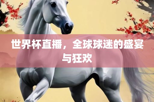 世界杯直播，全球球迷的盛宴与狂欢