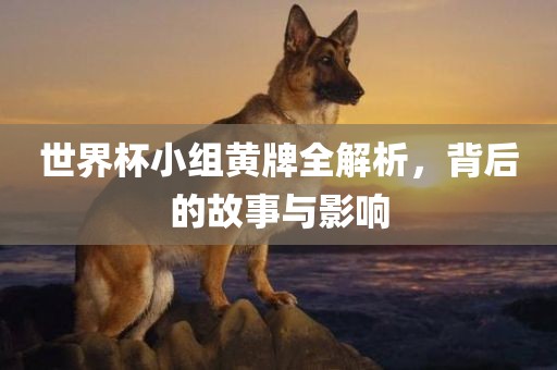 世眉山市正发家政服务有限公司界杯小组黄牌全解析，背后的故事与影响