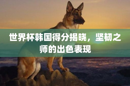 世界杯韩国得分揭晓，坚韧之师的出色表现