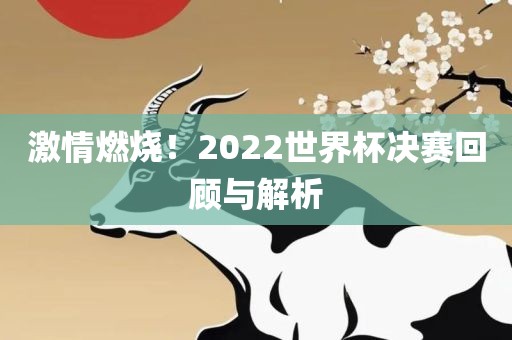 激情燃烧！2022世界杯决赛回顾与解析眉山市正发家政服务有限公司