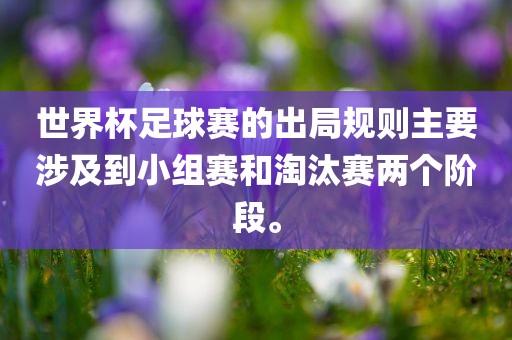 世界杯足球赛的出局规则主要涉及到小组赛和淘汰赛两个阶段。
