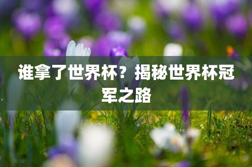 谁拿了世界杯？揭秘世界杯冠军之路