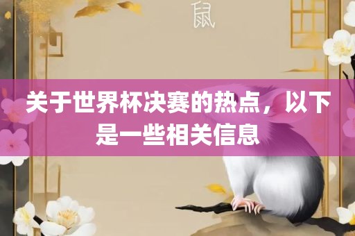 关于世界杯决赛的热点，以下是一些相关信息