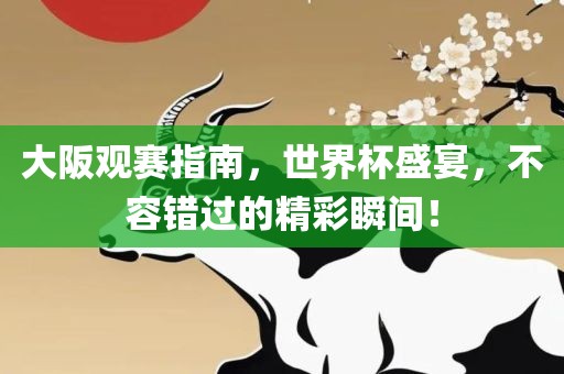大阪观赛指南，世界杯盛宴，不容错过的精彩瞬间！