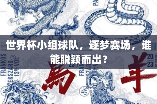 世界杯小组球队，逐梦赛场，谁能脱颖而出？