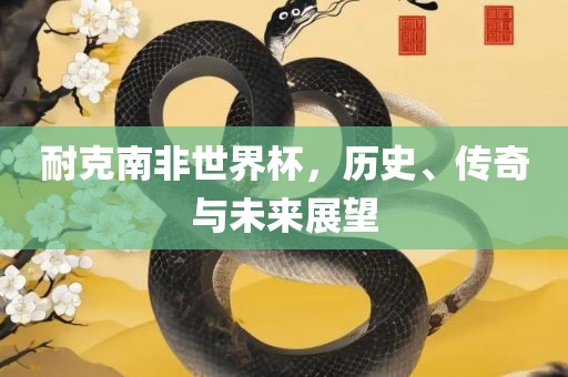 耐克南非世界杯，历史、传奇与未来展望