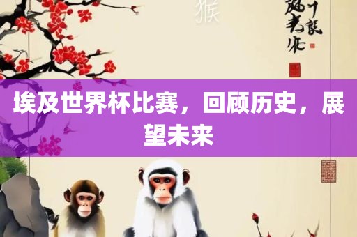 埃及世界杯比赛，回顾历史，展望未来