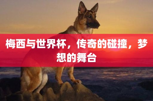 梅西与世界杯，传奇的碰撞，梦想的舞台