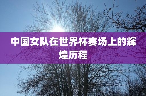 中国女队在世界杯赛场上的辉煌历程眉山市正发家政服务有限公司