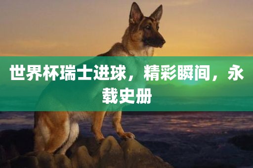 世界杯瑞士进球，精彩瞬间，永载史册