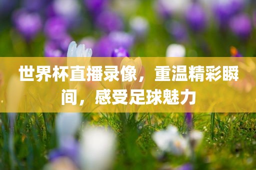 世界杯直播录像，重温精彩瞬间，感受足球魅力