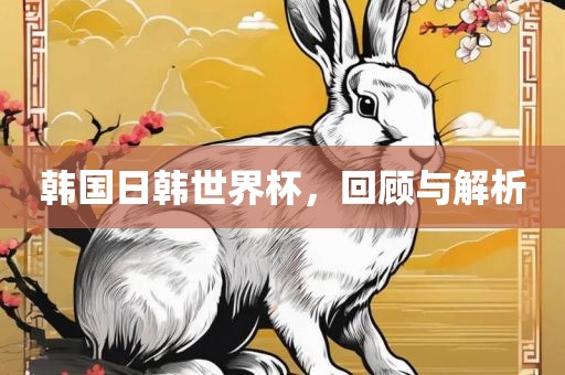 韩国日韩世界杯，回顾与解析眉山市正发家政服务有限公司