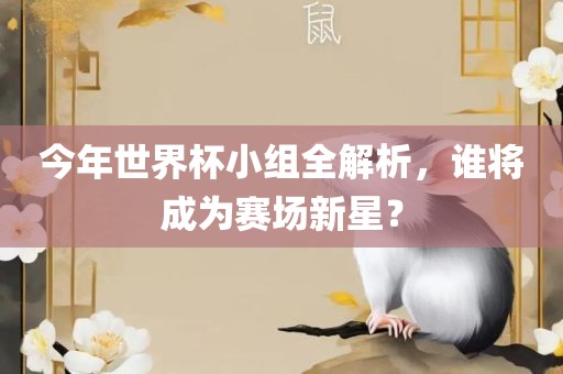 今年世界杯小组全解析，谁将成为赛场新星？