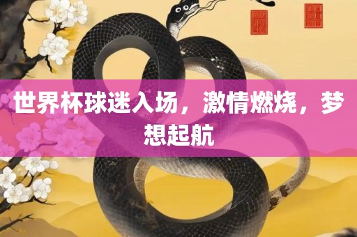 世界杯球迷入场，激情燃烧，梦想起航眉山市正发家政服务有限公司