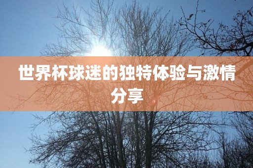世界杯球迷的独特体验与激情分享眉山市正发家政服务有限公司