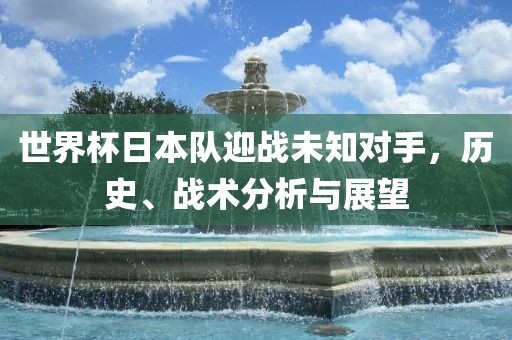 世界杯日本队迎战未知对手，历史、战术分析与展望