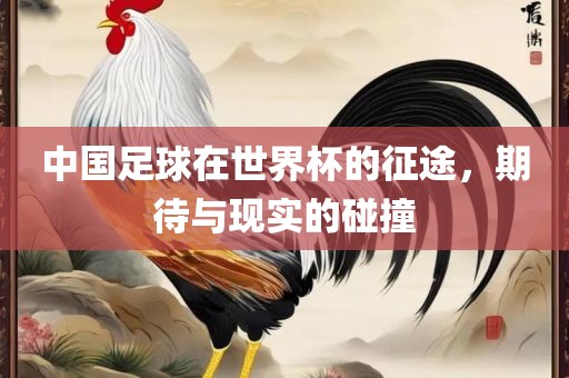 中国足球在世界杯的征途，期待与现实的碰撞