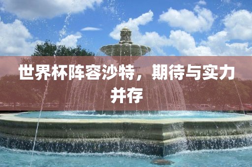 世界杯阵容沙特，期待与实力并存