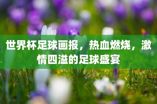 世界杯足球画报，热血燃烧，激情四溢的足球盛宴