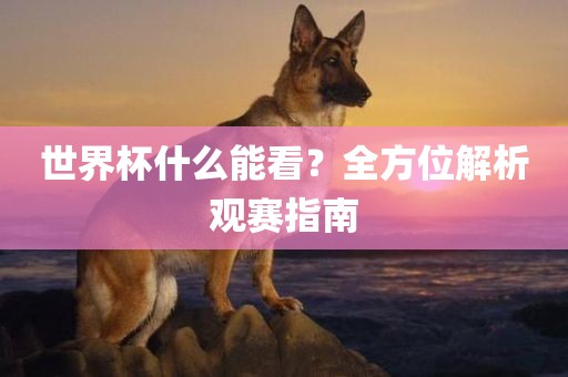 世界杯什么能看？全方位解析观赛指南