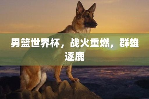 男篮世界杯，战火重燃，群雄逐鹿