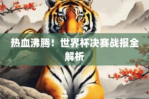 热血沸腾！世界杯决赛战报全解析