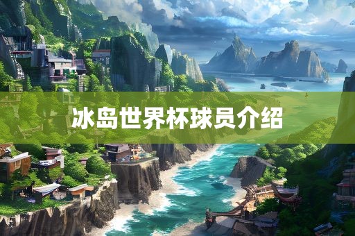 冰岛世界杯球员介绍